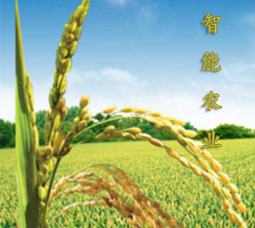 智能農業環境監測方案